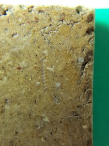phrasomdejsd0212