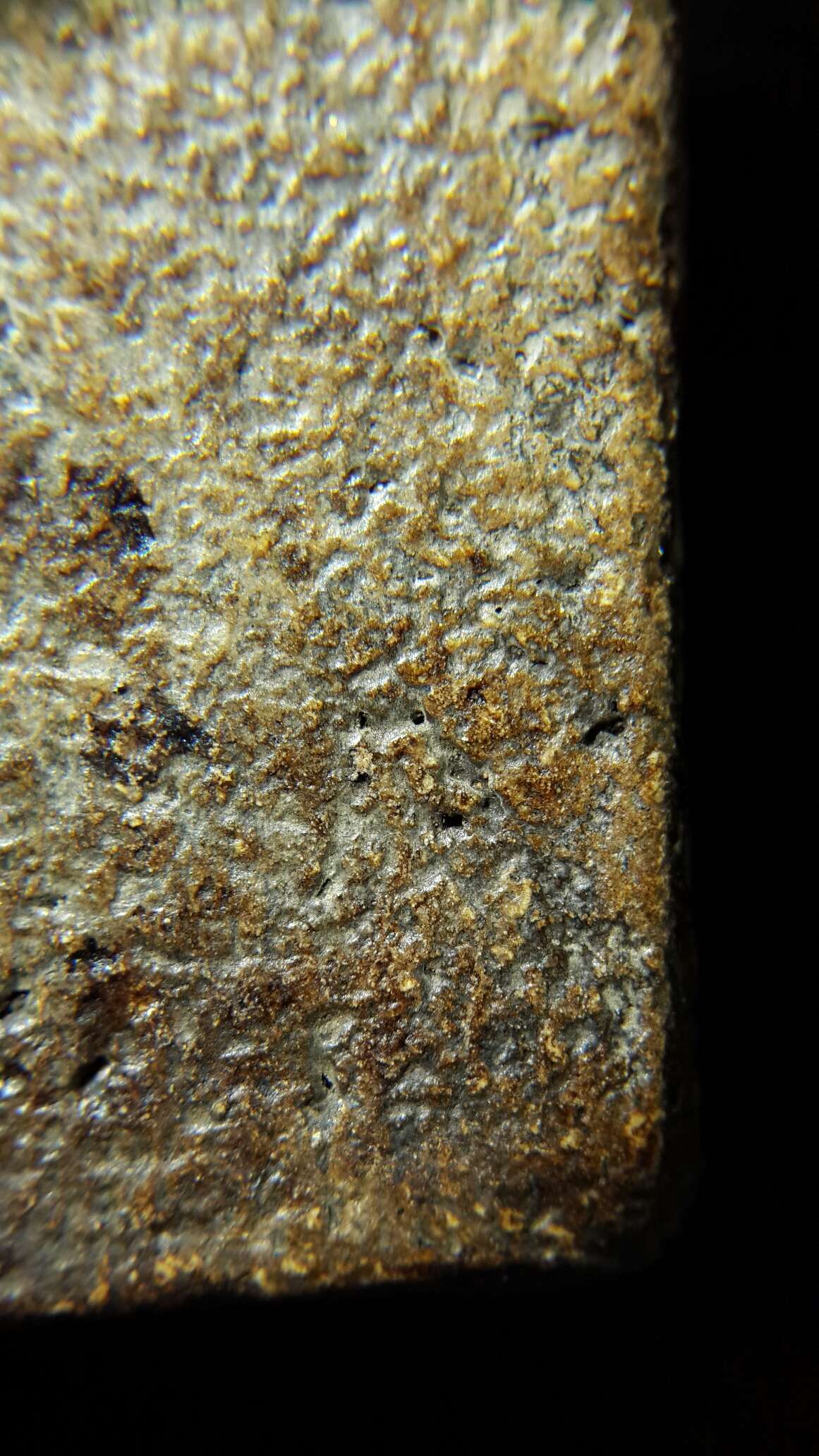 20150502_213507.jpg image
